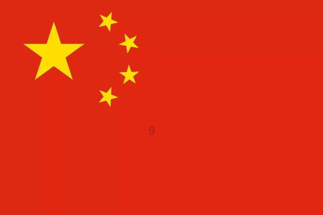 金牌保镖熊先生
